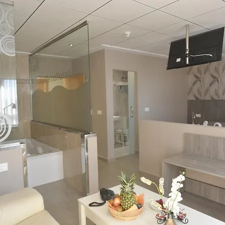 토레호벤 호텔 또레비에하