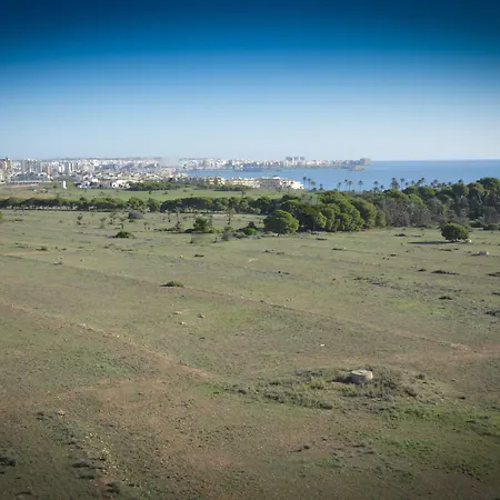 Torrejoven Torrevieja