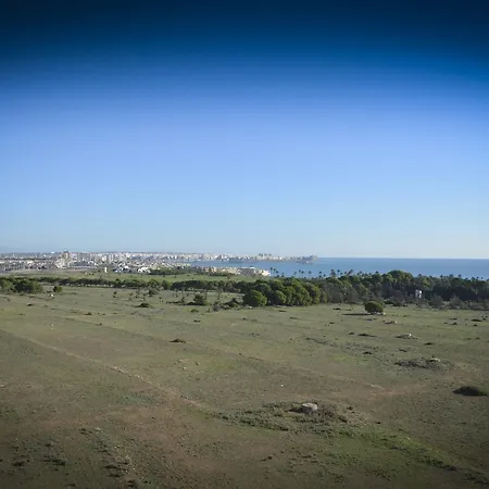 Torrejoven Szálloda Torrevieja