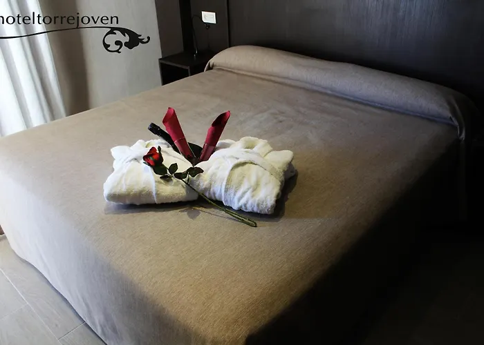 Готель Torrejoven Торрев'єха